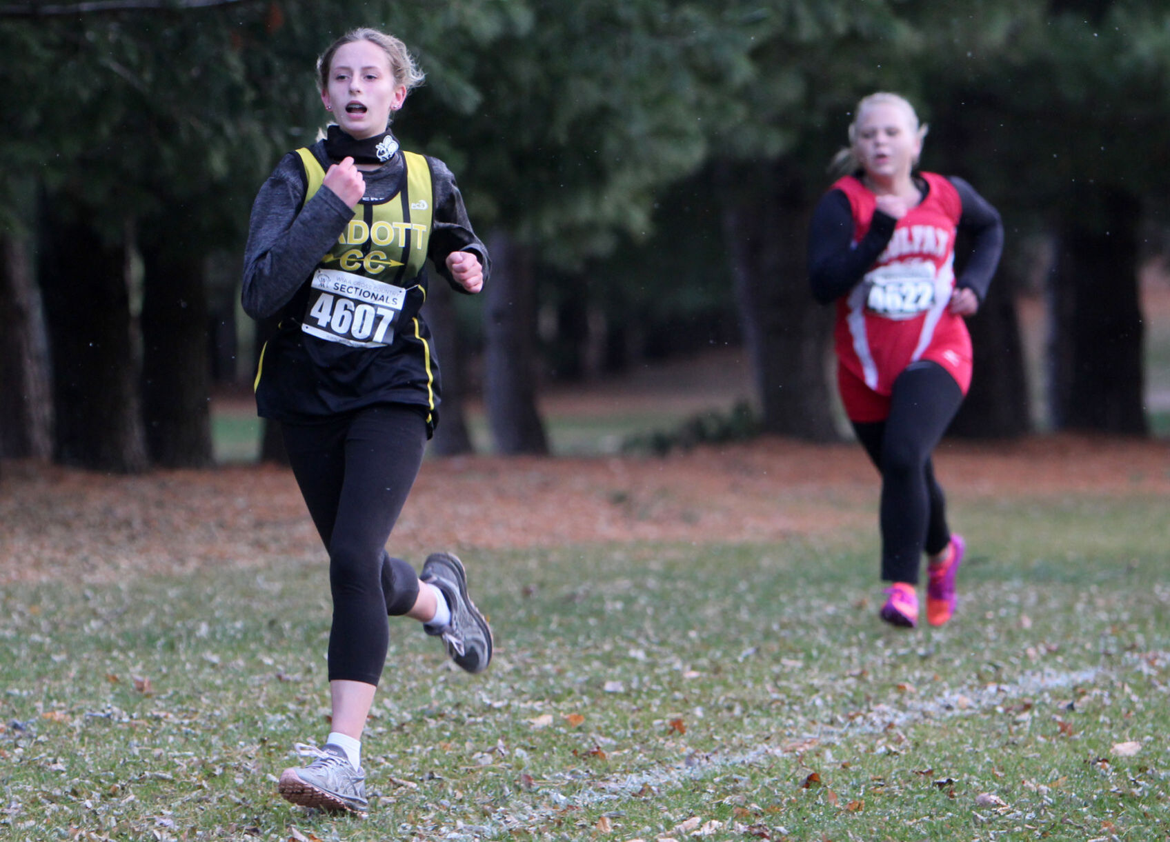 Division 3 Cross Country Sub-Sectional at Colfax 10-19-20